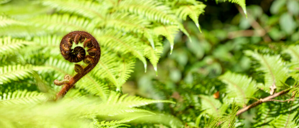 You have the protection of a Code of Rights.